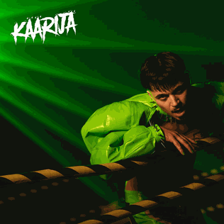 Kaarijaa album cover